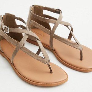 Torrid - T-Strap Gladiator Sandals WW - Olive Green - Size 8.5 (NEW - WITH TAGS)